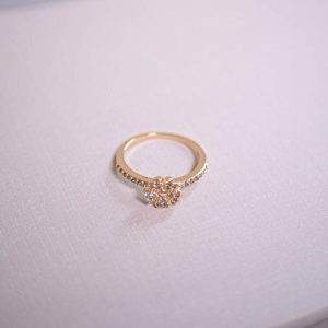 ANEL FLOR ZIRC M 22
