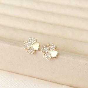 BR TREVO 3 PET  ZIRC