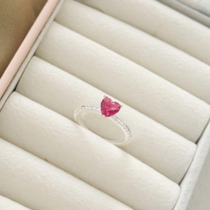 PR AN COR ROSA CRAV 12