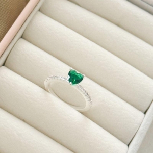 PR AN COR VERDE CRAV 16