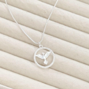 PR CL ESP SANTO CRAV