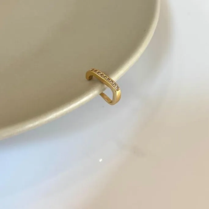 PIERCING FAKE RETANG